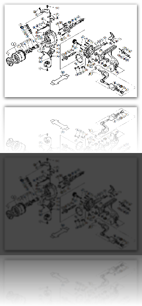 BIOMASTER 1000PGS